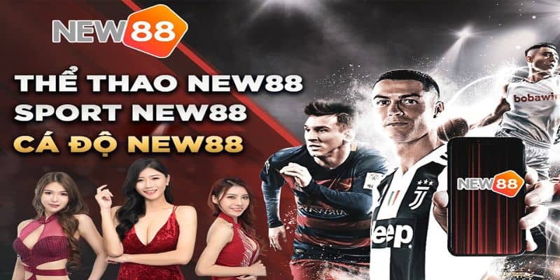 New88 - Trang cá độ bóng đá đánh giá 5 sao 7 Top 12 trang cá cược bóng đá uy tín