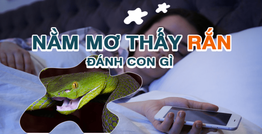 Giải mã chi tiết giấc mơ thấy rắn trắng và những lưu ý 6 Giấc mơ thấy rắn nên đánh số đề