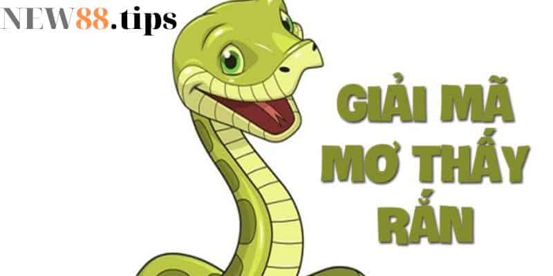 Mơ thấy rắn xanh là lộc hay họa, nên đánh con gì dễ trúng 5 Mơ thấy rắn xanh là điểm báo gì?