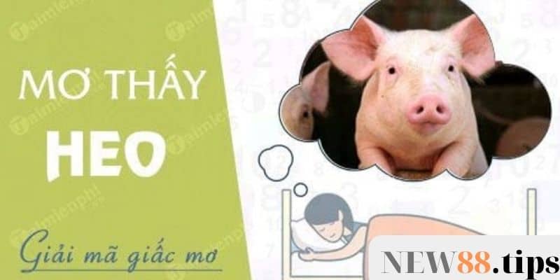 Tìm hiểu về các dự báo lành dữ khi mơ thấy con lợn 8 Mơ thấy con heo đánh số gì
