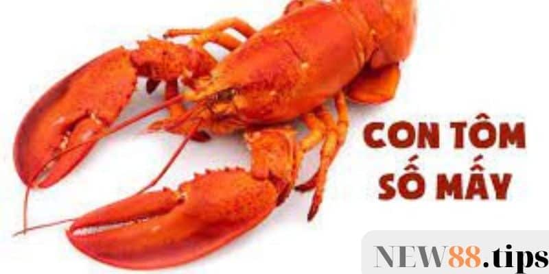 Hé lộ bí mật trong giấc mơ thấy tôm, mơ thấy tôm đánh con gì 7 Mơ thấy tôm có phải điềm lành không?