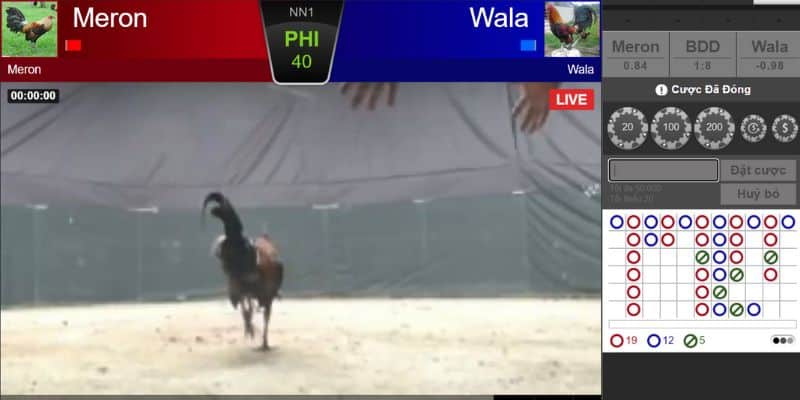 Đá Gà New88 Cách Cược Chi Tiết Cho Anh Em Mới Gia Nhập 9 Cách cược chi tiết đá gà New88 cho thành viên mới