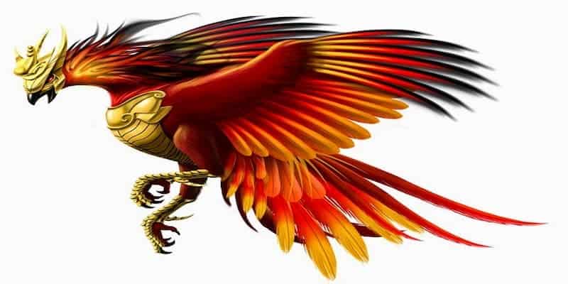 Kinh nghiệm chọn gà khi cá cược online cho anh em tân thủ 6 Kinh nghiệm chọn gà khi cá cược online