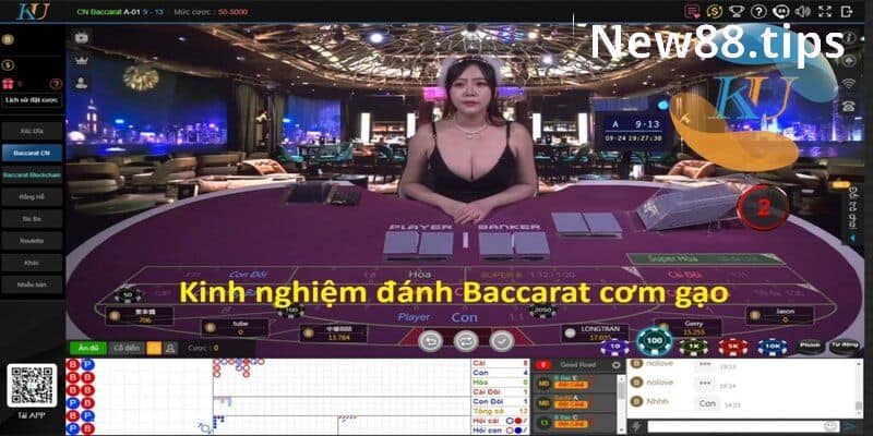 Baccarat cơm gạo - Bí quyết chơi Baccarat online cực đỉnh 7 Một số điều cần chú ý khi chơi Baccarat cơm gạo