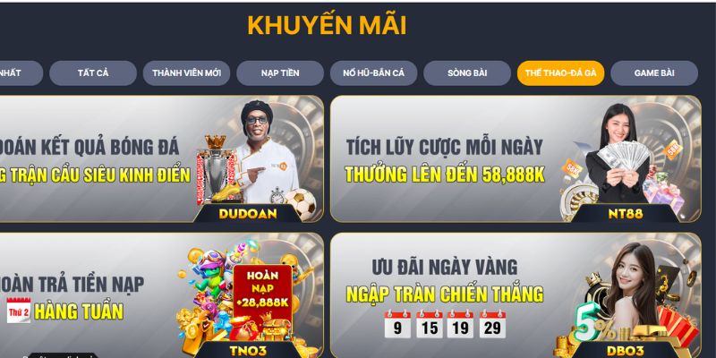 Tích Lũy Cá Cược Thể Thao New88 - Cược Nhiều, Thắng Lớn 7 Quy định chung cho “Tích lũy cá cược thể thao”