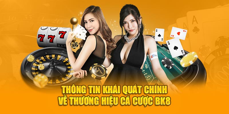 Thông tin khái quát chính về thương hiệu cá cược BK8